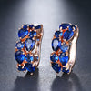 Image of Luxury Rose Gold Color Cubic Zircon Ear Studs